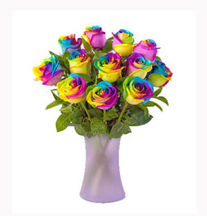 Global Blossom Spectacle: Imported Colorful Roses Displayed in a Stylish Vase