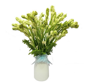 Rajnigandha Elegance: Blooms Presented in a Vase