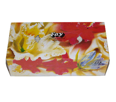 Fay Facial Tissue Big (140 X 2) plys