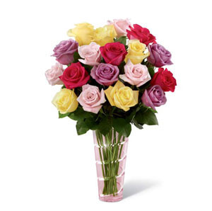 Mixed Rose Elegance: 24 Imported Blooms in a Vase