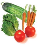 Salad Combo - 14 Items