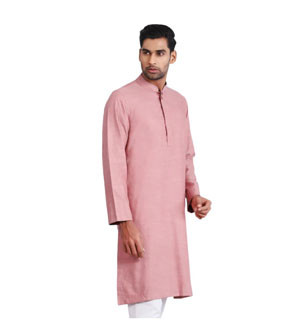 Cut & Sew Regular Fit Panjabi -4