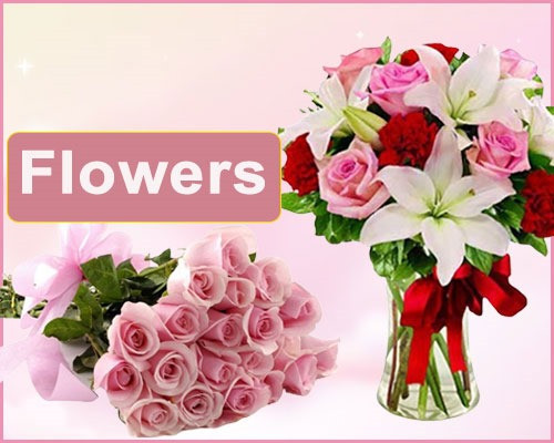 Deshigreetings.com promo