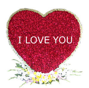 Deshi Red Roses: Heartfelt Valentine's Day Bouquet