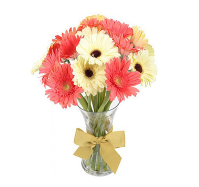 Radiant Blooms: A Bouquet of 12 Mixed Gerbera Flowers in an Elegant Vase