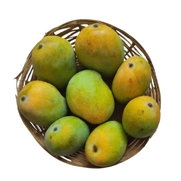 Fruits - Deshi -  Himsagor / Langra / Amrupali / Gopalbhog.