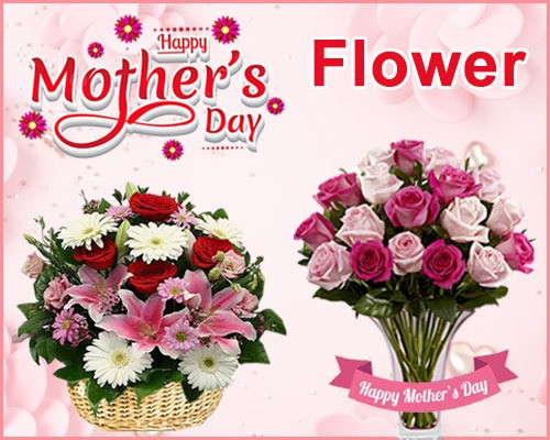 Deshigreetings.com promo