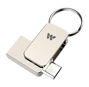 Walton Pendrive WO2032P012