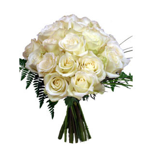 Serenity in Bloom: Embrace Tranquility with a Bouquet of 20 Thai White Rose
