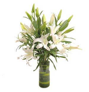 Imported White Lilies: Gracefully Displayed in a Vase