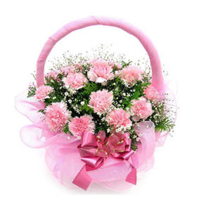 Imported Pink Carnation Baskets
