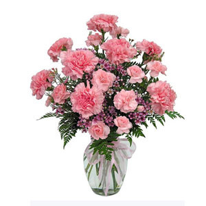 Blush Elegance: Pink Carnations Adorned in a Vase for a Graceful Floral Display