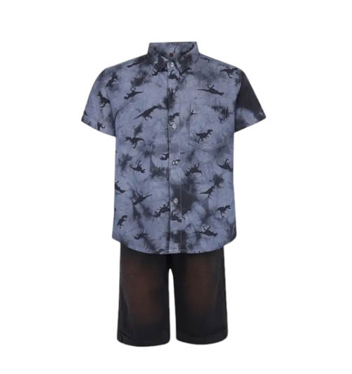 Toddler Boy -  Stone Blue Printed Cotton Shirt Pant Set