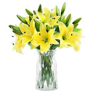 Elegant Yellow Lilies in a Vase: An Imported Delight