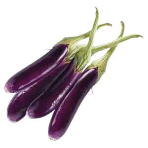 Fresh Egg Plant ( Long Begun ) - medium to medium large - 1kg/ 3kg/ 5kg