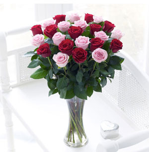Mixed Rose Elegance: 18 Imported Blooms in a Vase