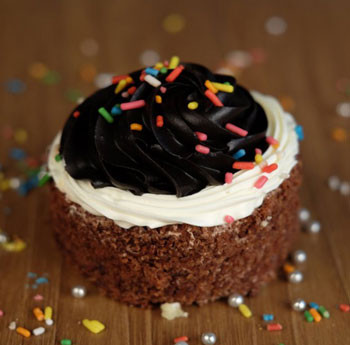 French Chocolate Pastry From (CFC)