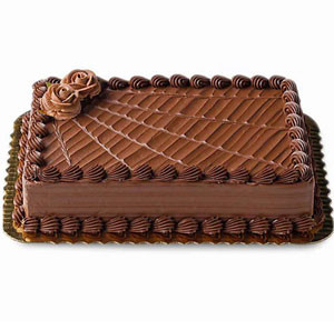 Yummy Yummy's Rich Chocolate Square Cake Delight