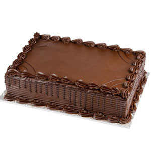 Decadent Chocolate Square Cake: A Rich Treat for Any Occasion