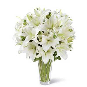 Imported White Lilies: Gracefully Displayed in a Vase
