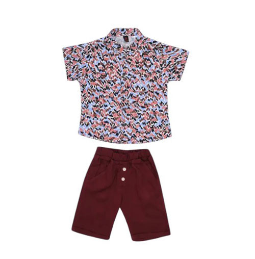 Baby Boys - Multicolour Printed Cotton Shirt Pant Set