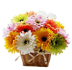 Brighten Your Day: Mixed Gerbera Basket Delight