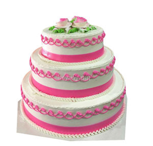Exquisite Triple-Layer Vanilla Cake from Cake's Delight"