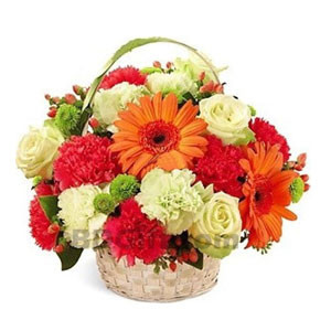 Exquisite Floral Ensemble: Imported Mixed Flower Baskets