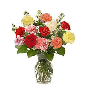 A Medley of Mixed Color Carnations Beautifully Arranged in a Vase
