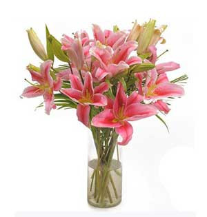 Exquisite Imported Pink Lilies: Presented in a Vase