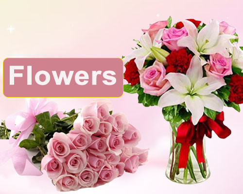 Deshigreetings.com promo