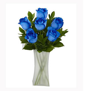 International Petal Harmony: Imported Colorful Roses in a Stylish Vase