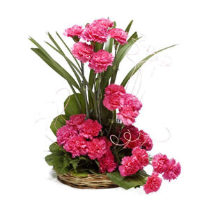 Exquisite Pink Petals: A Basket of Imported Carnations for a Touch of Eleganc
