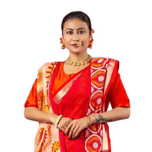 Sharee -  Half-Silk sharee features Screen-Print & Hand-work, Karchupi &Patch-work.