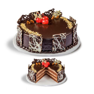 Decadent Indulgence: King's Chocolate Coating Cake Delight