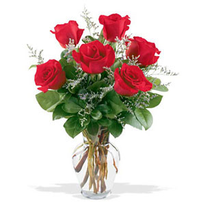 Radiant Deshi Red Roses Presented in an Elegant Vase