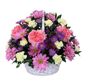 Exquisite Blooms: Imported Mixed Flower Baskets