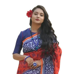 Sharee - Organza-Silk sharee features Digital Print & Hand-work