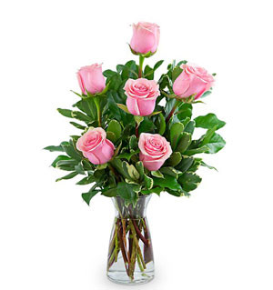 Pure Elegance: Thai Pink Roses with Vase