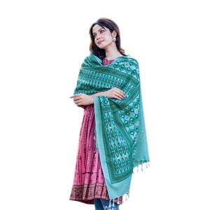 Women Shawl -  Paste color printed & embroidered linen cotton ladies Shawl